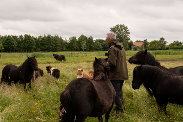 klaas-tussen-ponies